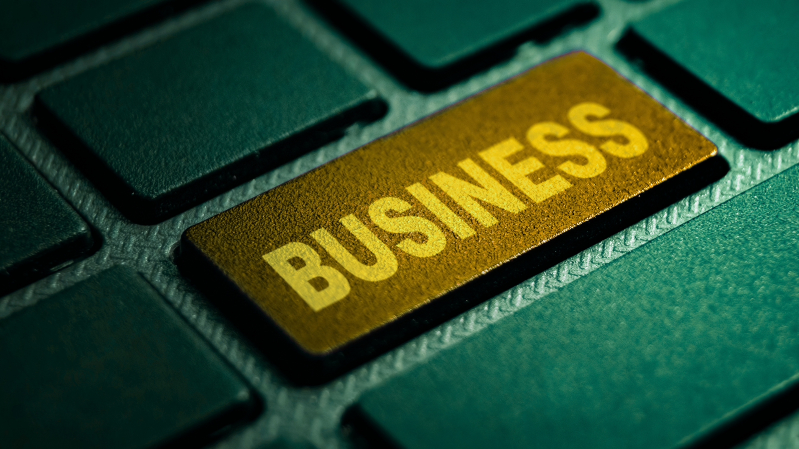 Entrepreneuriat & Business